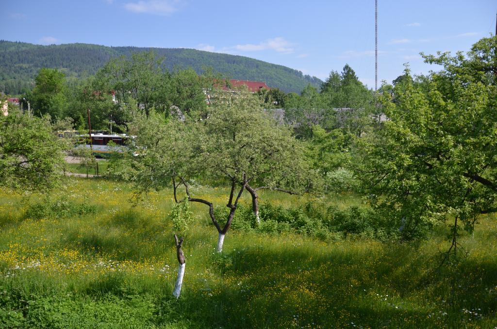 Appartamento Rosinka Jaremče Esterno foto
